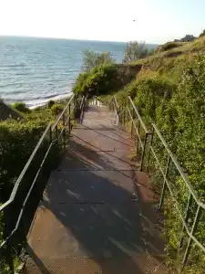 use «Florida - 36