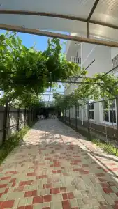 Гармония - 34