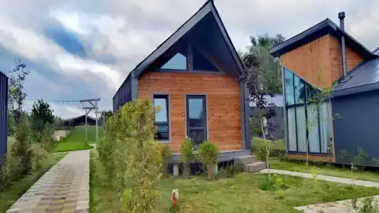 ДревоПаркЪ - 71