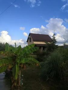 Дом для семейного отдыха без шумных соседей - 25