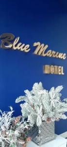 Blue Marine - 39