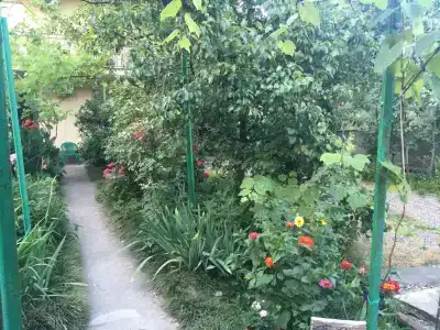 Арина - 4