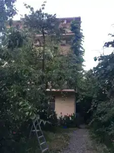Арина - 1