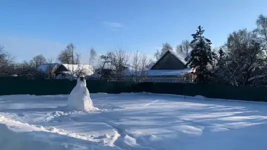Медоед - 8