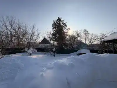 Медоед - 43