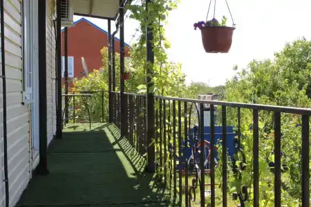 Арарат - 0