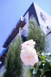 Black Sea Aparthotel - 7