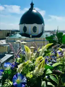 Невский - 7