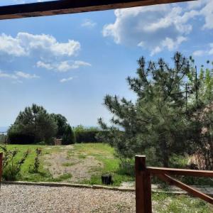 Парковый - 16