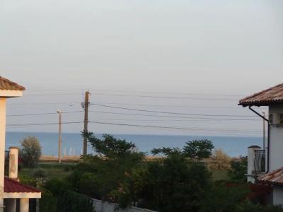 Дикая Вишня - 26