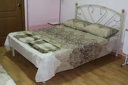 Лиза - 4