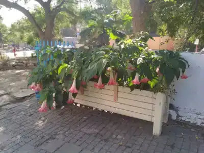 Частный сектор на Голицина 6 - 10