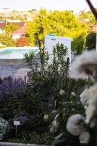 Гостевой дом Villa White - 5