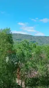 Мон Блан - 47