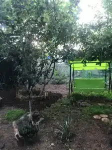 Московская 393 - 25