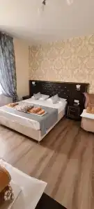Клевер - 24