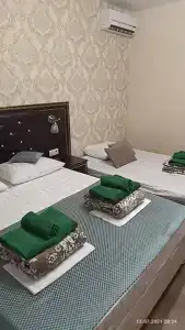 Клевер - 12