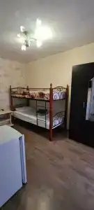 Клевер - 36