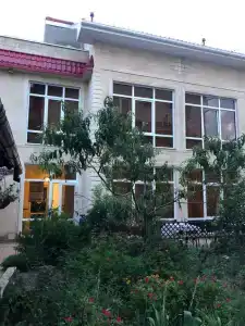 Олива - 1