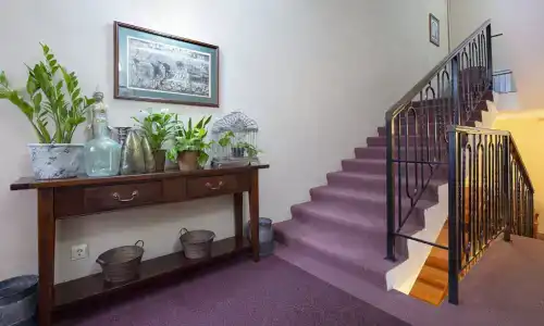 Дворы Капеллы - 3