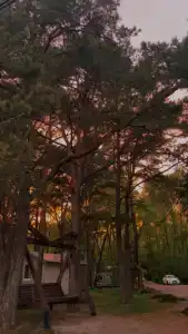 Куршале - 34