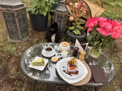 Куршале - 54
