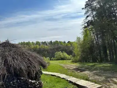 Экопарк- Бобровый мыс - 15