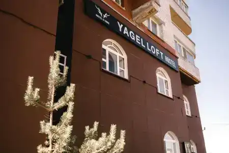 Ягель Лофт - 0