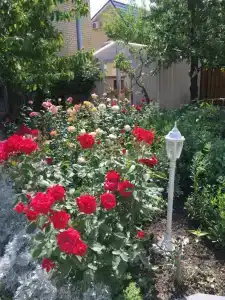 Солнечный - 9
