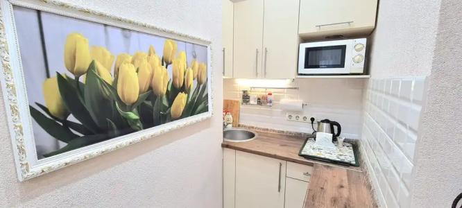 Квартиры на Адмирала Фадеева 48 - 341