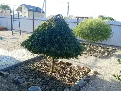 Высокий Берег - 9