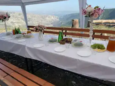 Родник - 2
