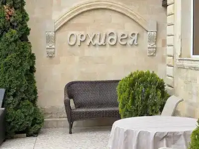 Орхидея - 10