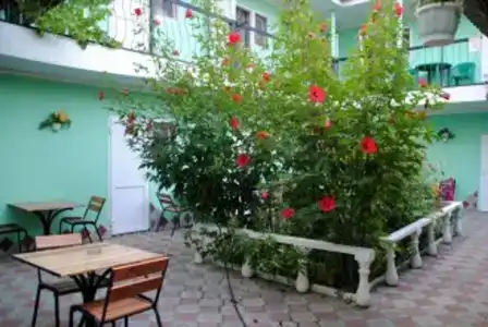 Сильвия - 16