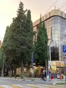 Жемчужина Черного моря - 1