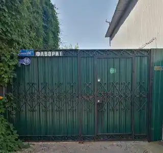 Фаворит - 8