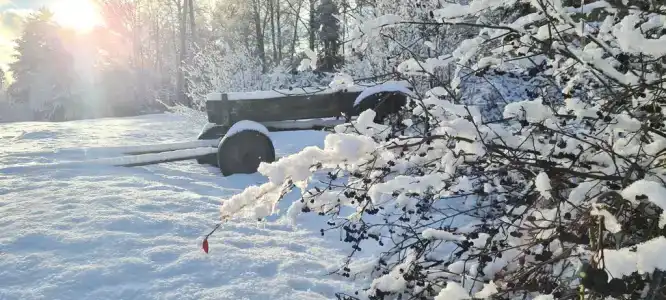 Пространство мечты - 15