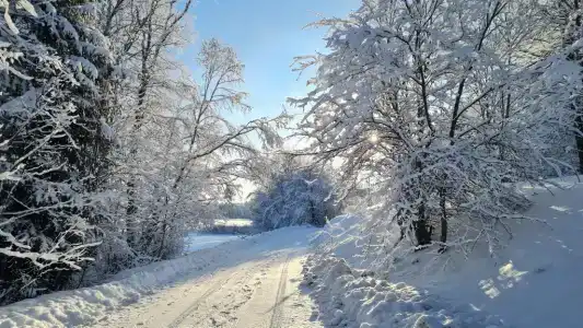 Пространство мечты - 14