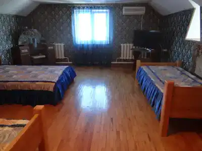 Ника - 166