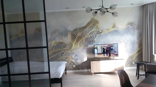 Студия в центре на Крахмалёва 8 - 0