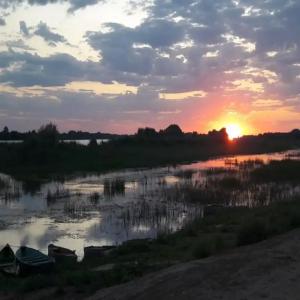 Бушма - 22
