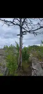 Длинный берег - 35