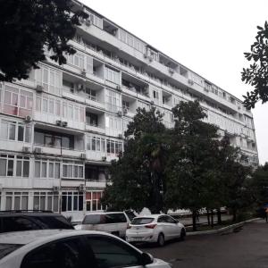 Санлайт - 1
