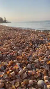 Комфорт на Чапаева - 10