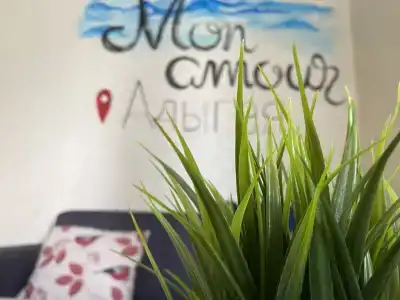 Mon amour - 4