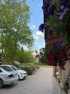 Светлана - 3