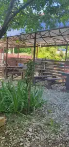 Дельфин на Приморской - 4