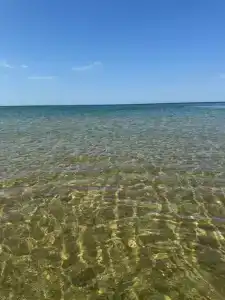 Маленький принц - 13