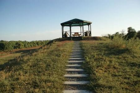 Усадьба Саркел - 7