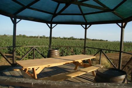 Усадьба Саркел - 8